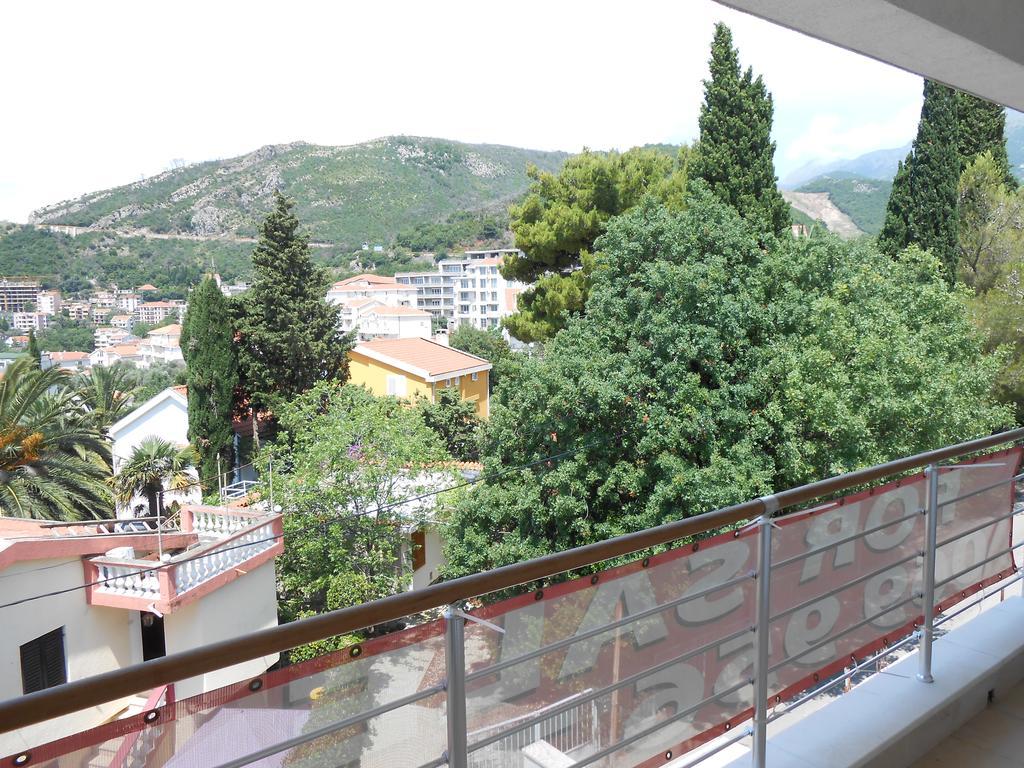 Apartment-hotel Petrovic-becici Apartment